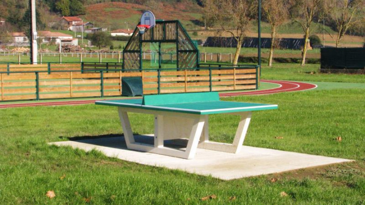 Table de ping-pong Coloris Vert